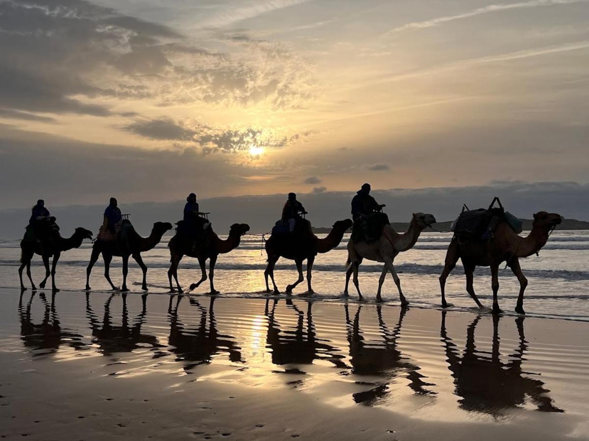 Хостел Surf Housemaroc Эс-Сувейра Экстерьер фото