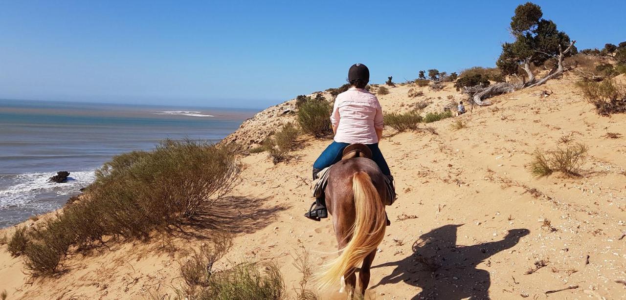 Хостел Surf Housemaroc Эс-Сувейра Экстерьер фото
