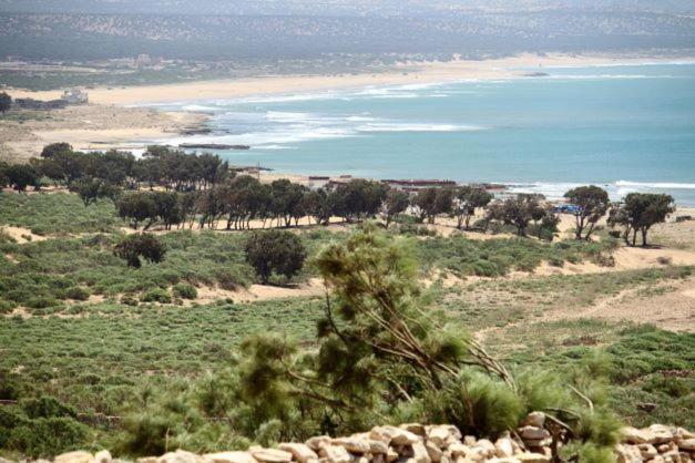 Хостел Surf Housemaroc Эс-Сувейра Экстерьер фото